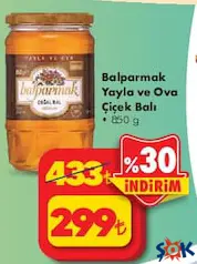 BALPARMAK YAYLA VE OVA ÇİÇEK BALI 850 G